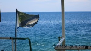 Fahrt mit der MS Songea