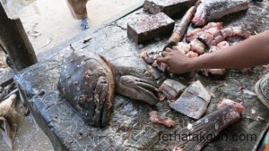 Frischer Fisch in Kilwa Masoko
