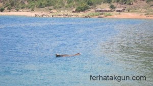 Kanu im Lake Kinyasa