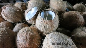 Kokosnuesse in Kilwa Masoko