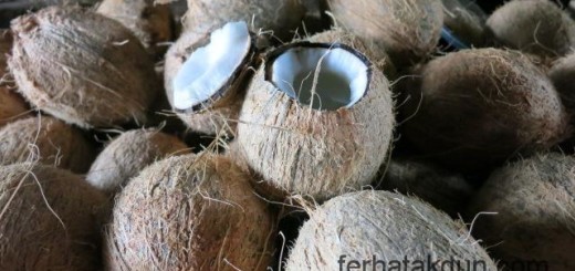 Kokosnuesse in Kilwa Masoko