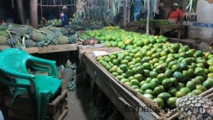 Mango und Ananas in Kilwa Masoko