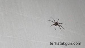 Mein Zimmergenosse im Stendi