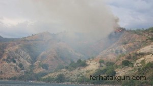 Waldbrand waehrend der Reise