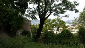Ausblick vom German Memorial House