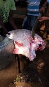 Entebbe, Uganda, Afrika, Africa, Markt, Fisch