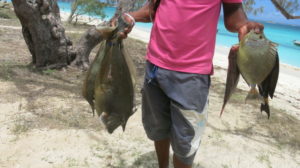 fische-vom-mer-demeraude-1