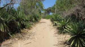ifaty-magily-richtung-strand