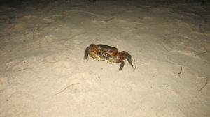 ramena-nachtwanderung