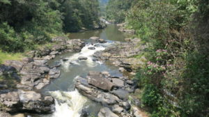 ranomafana-fluss-1