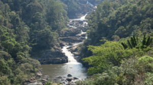 ranomafana-fluss-3