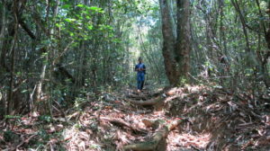 ranomafana-im-wald-1