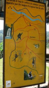 ranomafana-ubersicht-nationalpark