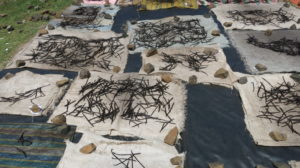 sambava-bei-naturavanilla-vanille-trocknung-4