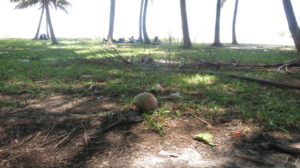 Toamasina - Chille unter Palmen