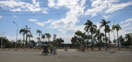 Toamasina - Palmen
