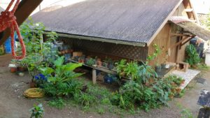 Hébergement l'Oyamac