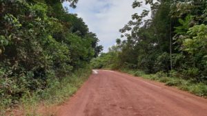 Auf dem Weg zum Urwald