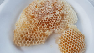 Coronie Totness Friendship - Honig Honing