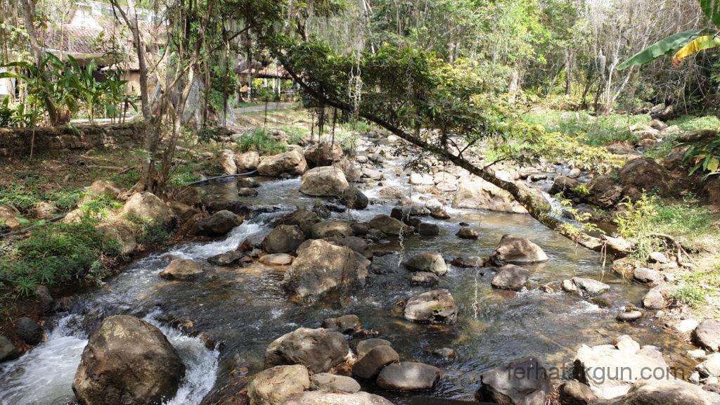 El Gallineral - Fluss