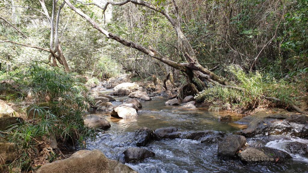 El Gallineral - Fluss