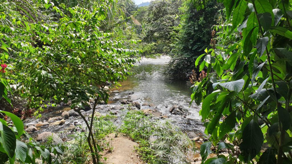 El Gallineral - Fluss