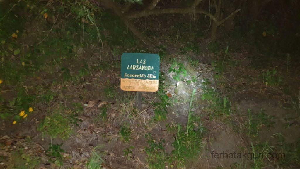 Volcán Barú - Fortschritt