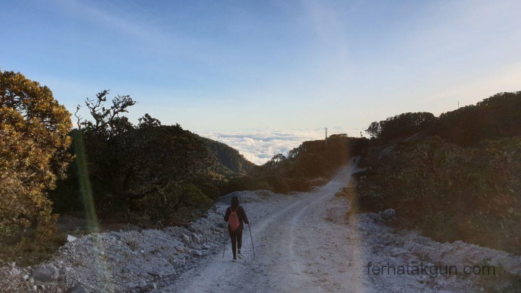 Volcán Barú - Der Abstieg