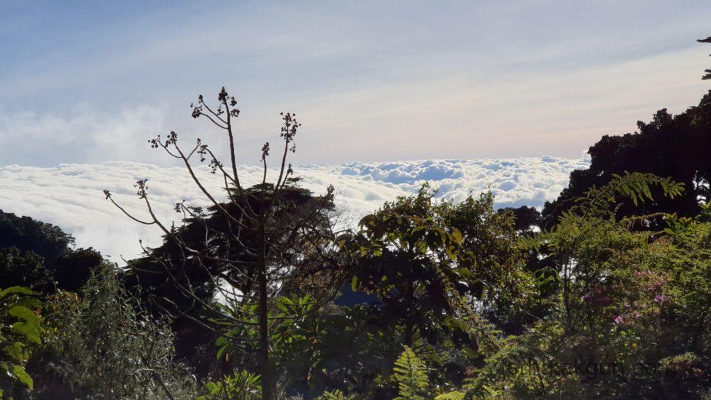 Volcán Barú - Der Abstieg