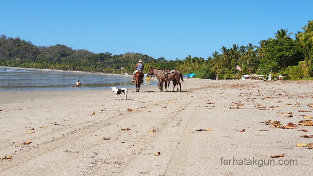 Samara - Playa Samara