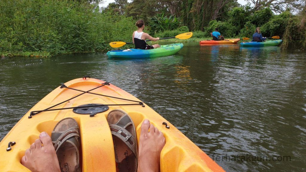 Nicaragua - Ometepe - Kayak Tour Río Istián