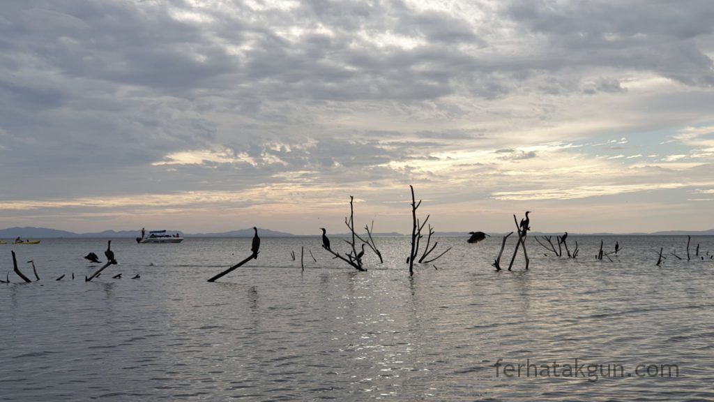 Nicaragua - Ometepe - Kayak Tour Río Istián