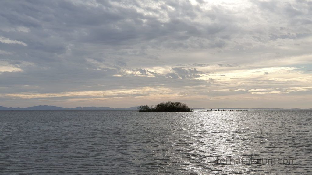 Nicaragua - Ometepe - Kayak Tour Río Istián