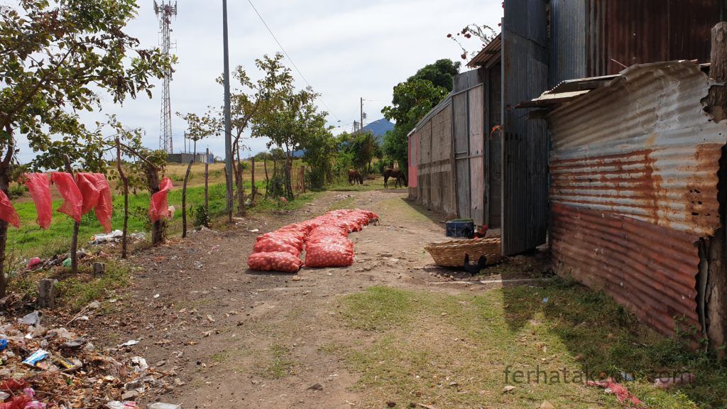 Granada - Centro Turístico - Zwiebelfarm